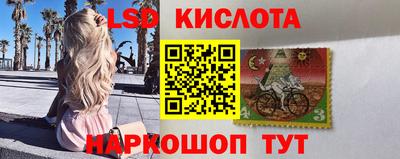 шишки Шахты