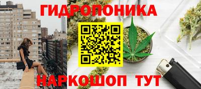 шишки Шебекино