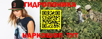 шишки Шахты