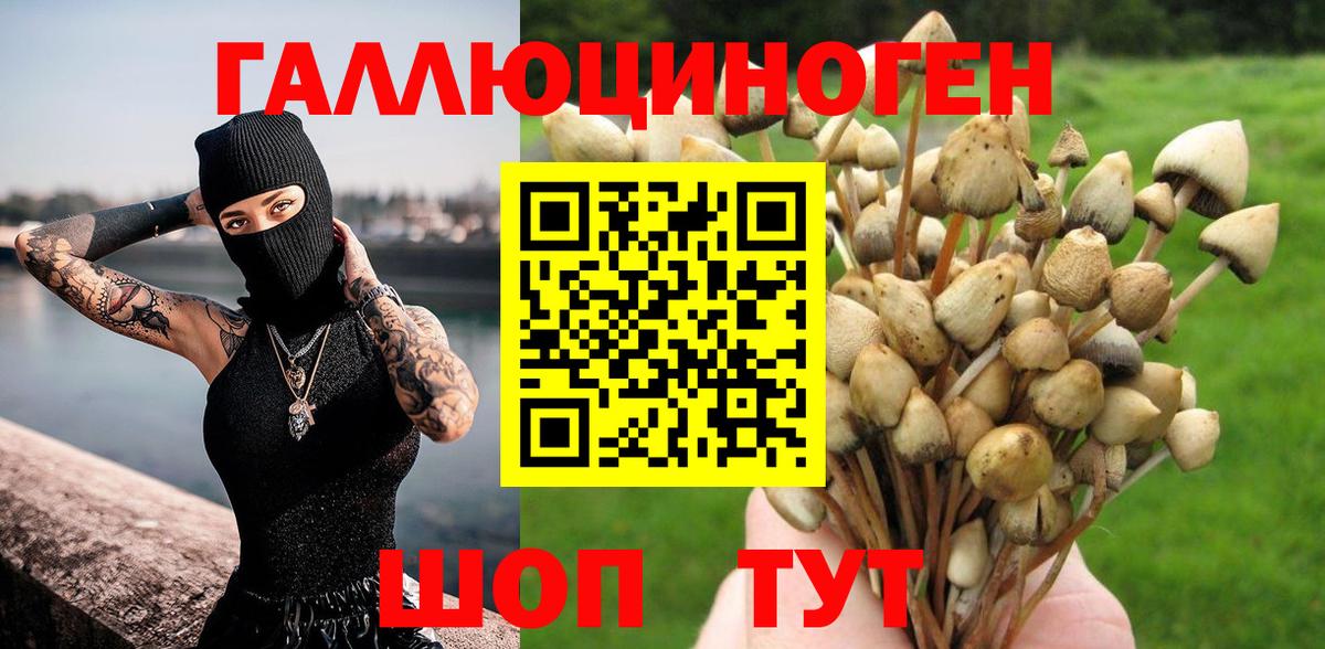 Аша  Псилоцибиновые грибы мицелий  закладка  Галлюциногенные грибы Cubensis  Вход с VPN 
